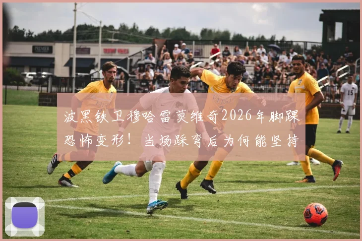 波黑铁卫穆哈雷莫维奇2026年脚踝恐怖变形！当场踩弯后为何能坚持踢完？11次解围数据全解析